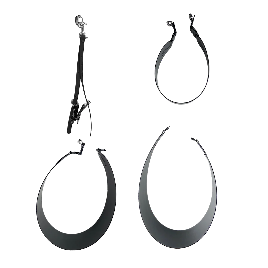 AXL Belly Band Black With Three Sizes by Alpha Grooming