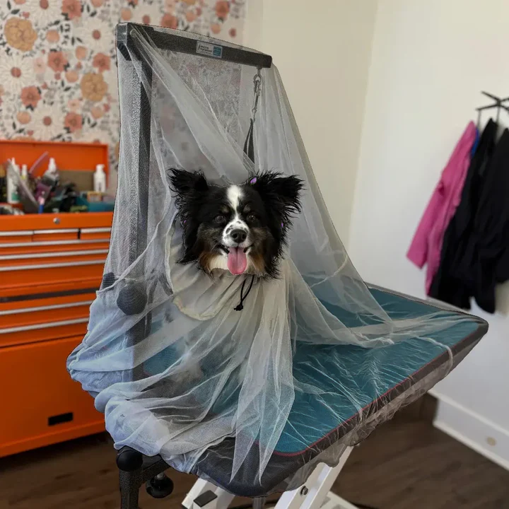 Extra Large Flying Fur Catcher Black by Big Hair Net - Image 2