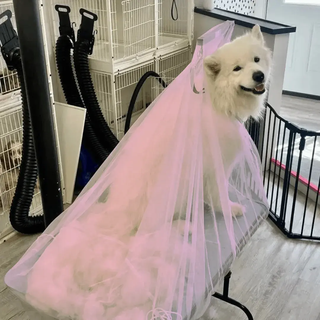 Bubble Pink Flying Fur Catcher by Big Hair Net