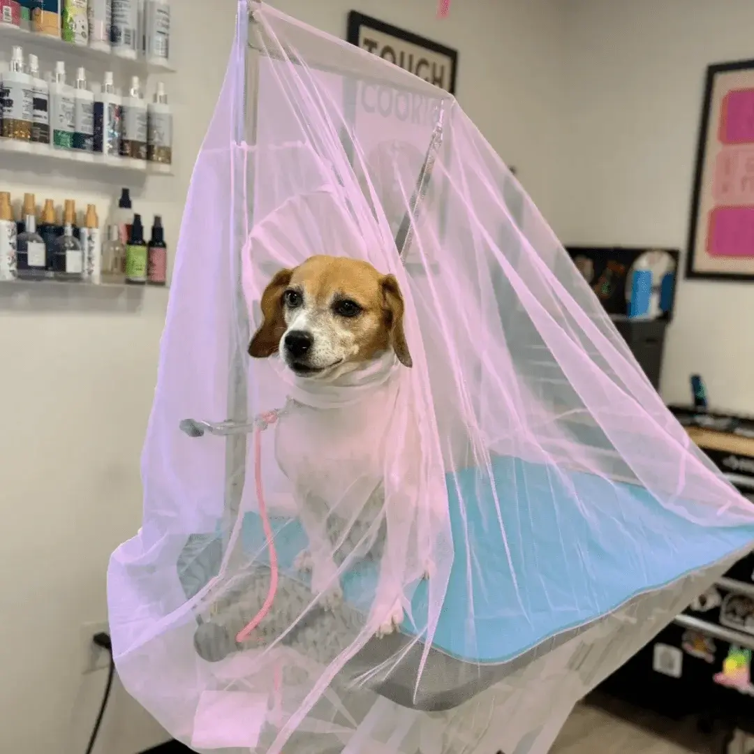Bubble Pink Flying Fur Catcher by Big Hair Net - Image 3