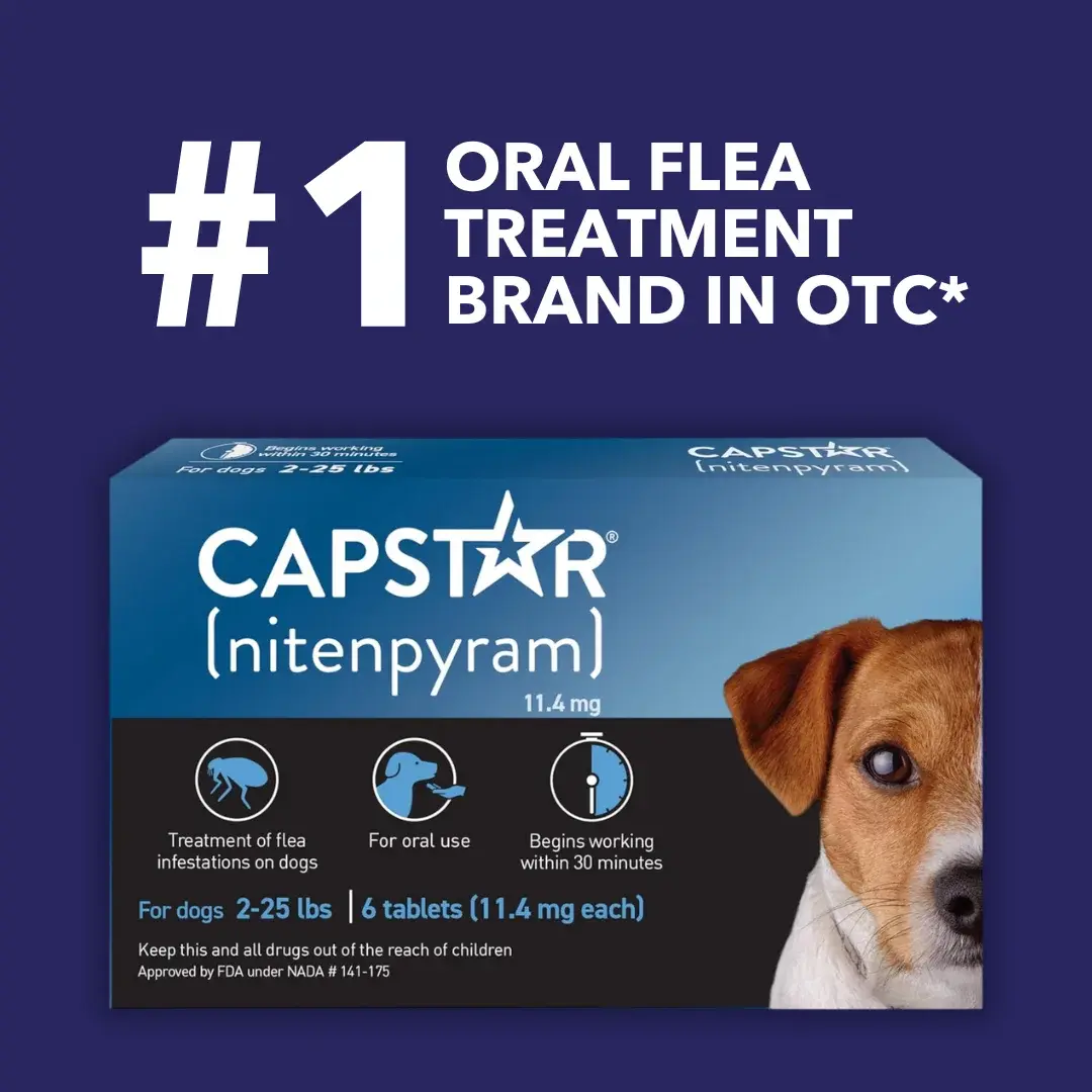 Pack of 6 Tablet For Flea Infestations Under 25Lb Dogs by Capstar - Image 2