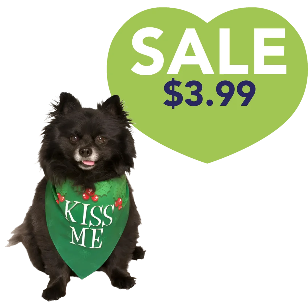 Kiss Me Holiday Dog Bandana by Dog Fashion Living