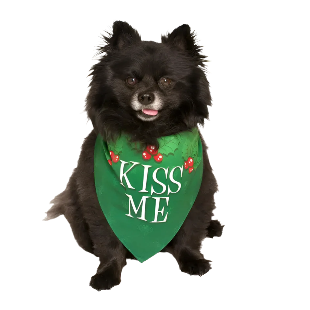 Kiss Me Holiday Dog Bandana by Dog Fashion Living - Image 2