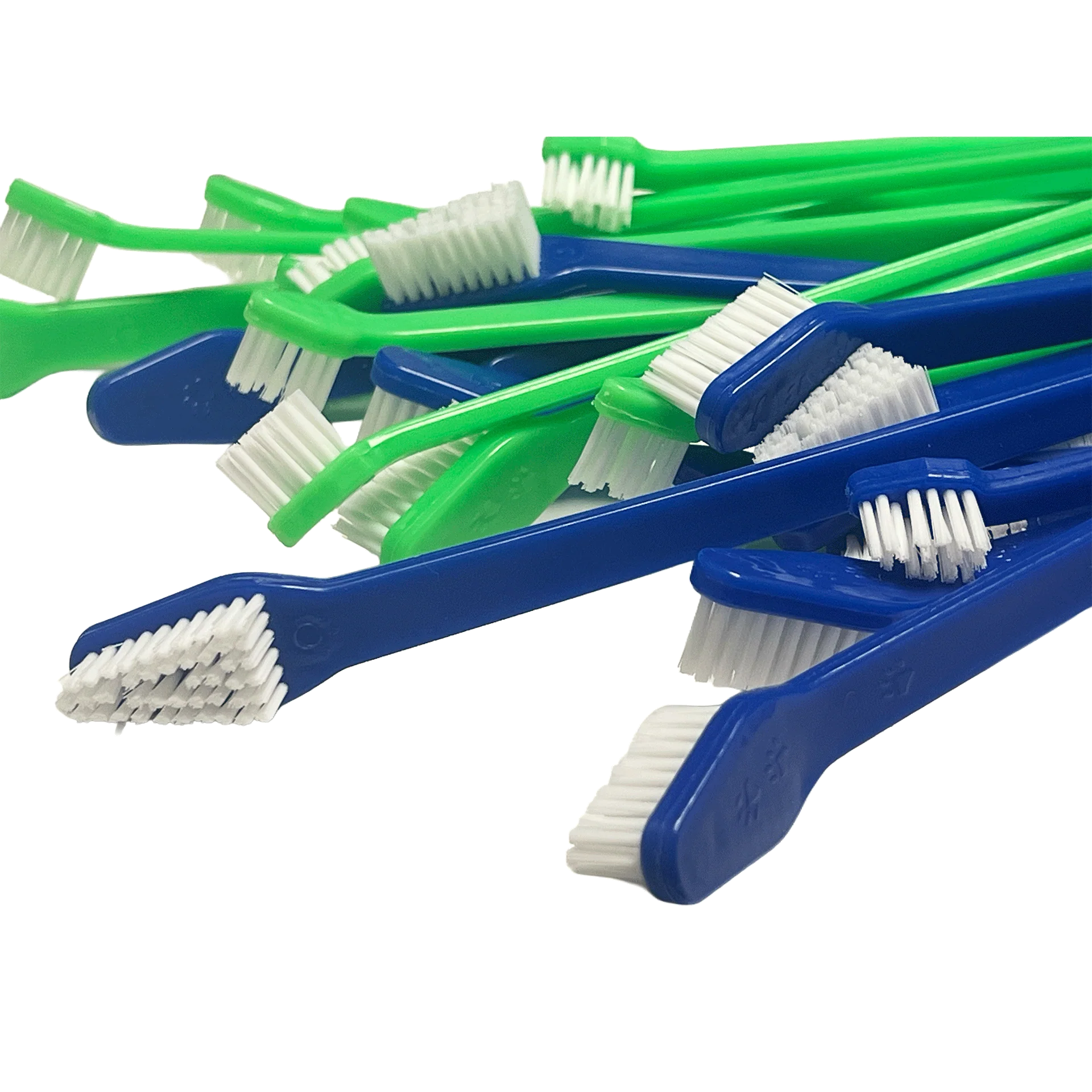 Dual-end Tooth Brushes 30 Count Green/Blue by PetStore.Direct - Image 2