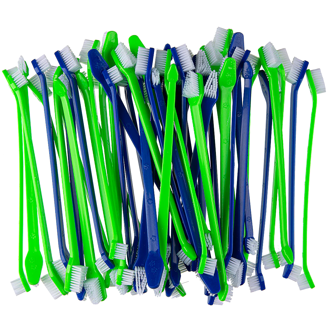 Dual-end Tooth Brushes 50 Count Green/Blue by PetStore.Direct