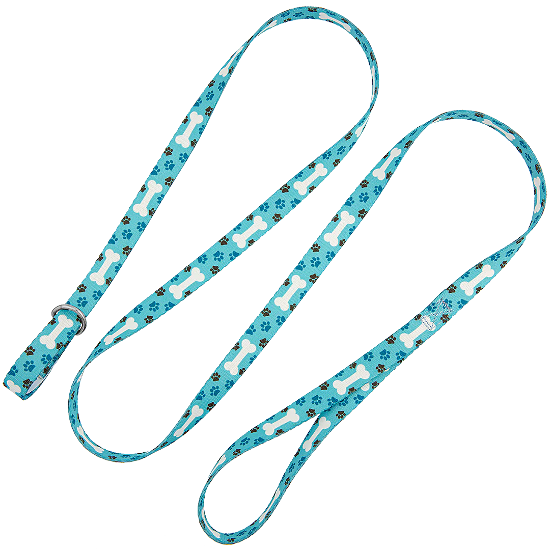 5ft Slip-Lead Leash Blue Bones by Groom Loop