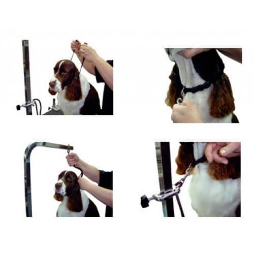 5/8" Large Grooming Loop Red by Groomer's Helper - Image 2