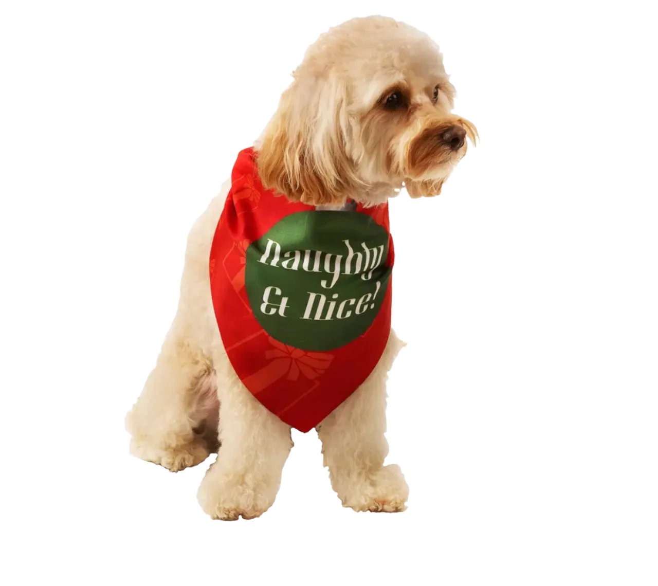 Naughty & Nice Holiday Dog Bandana by Dog Fashion Living - Image 2