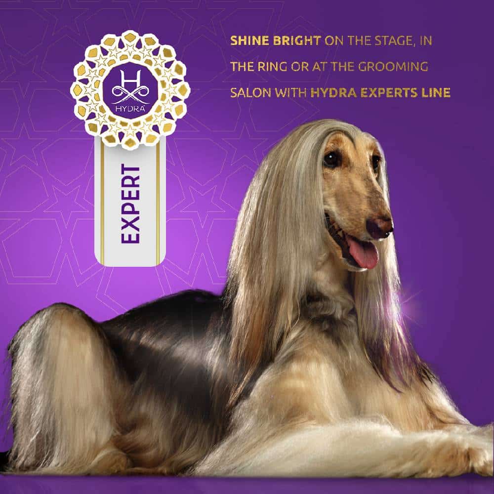Expert Volumizing Mousse 33.8oz by Hydra - Image 2