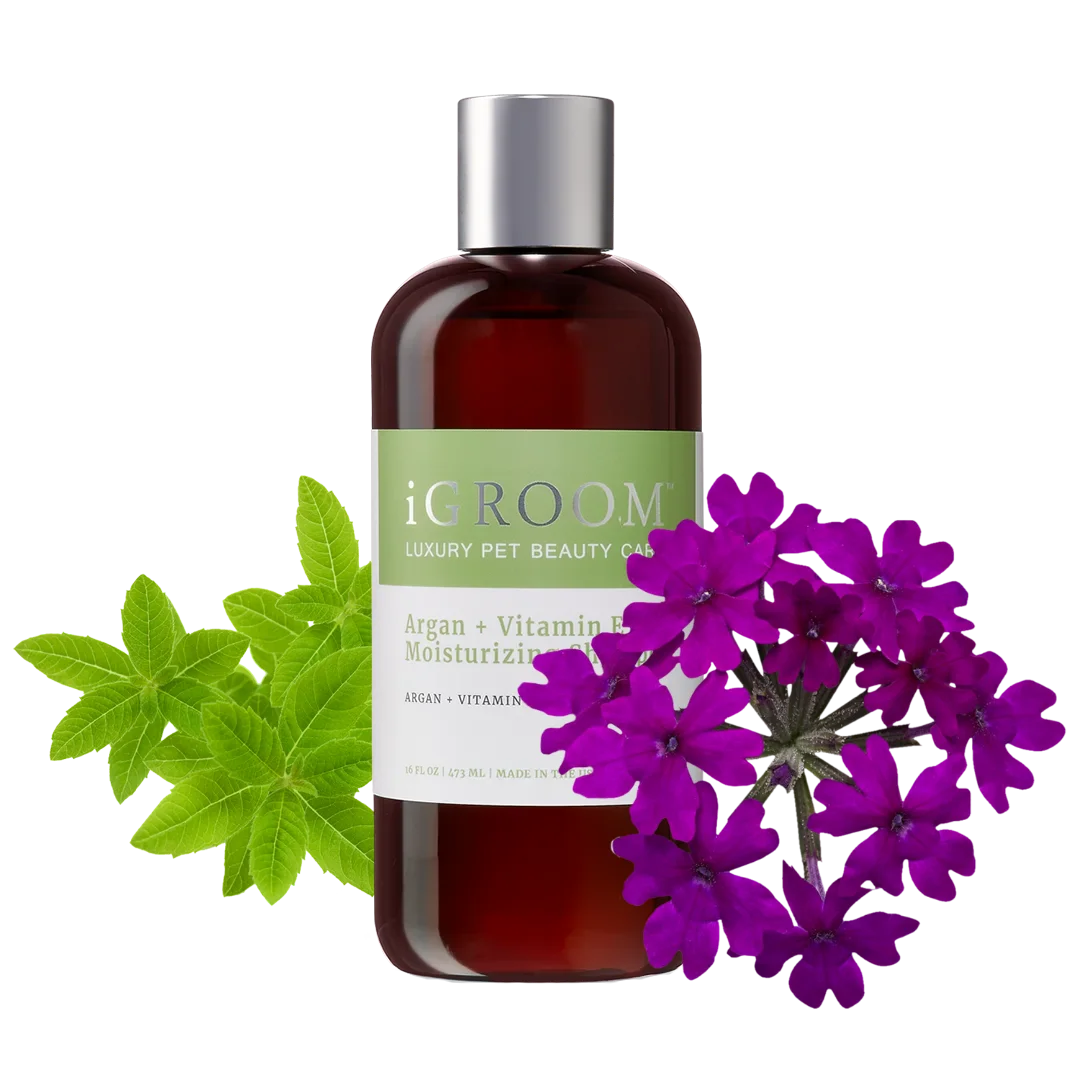 Argan and Vitamin E Shampoo 16oz by iGroom - Image 2