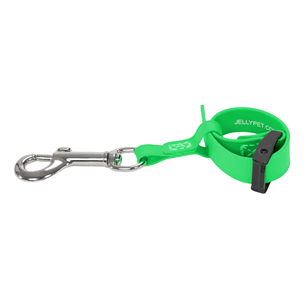 Safety Tether Green by Jelly Pet