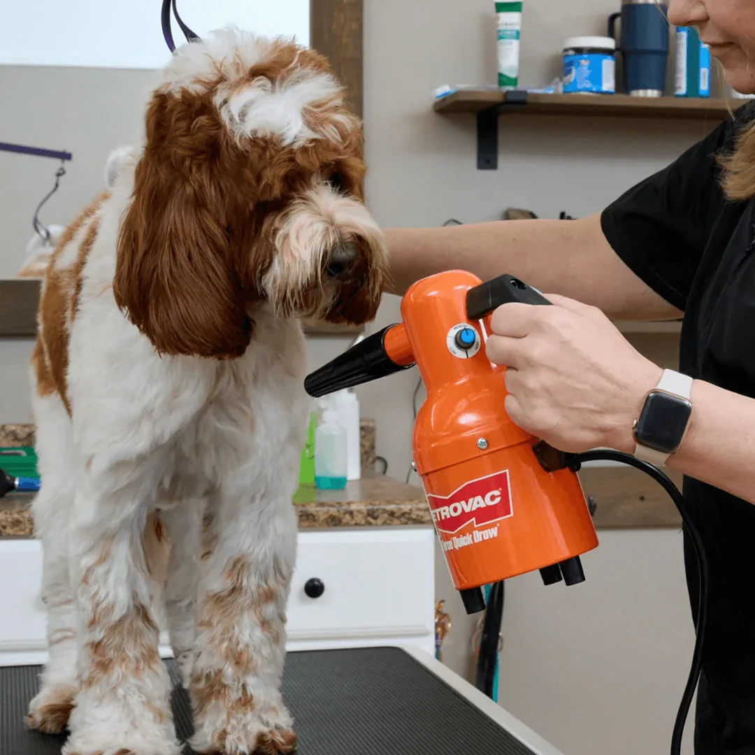 Quick Draw Compact Dog Dryer by Metrovac - Image 2
