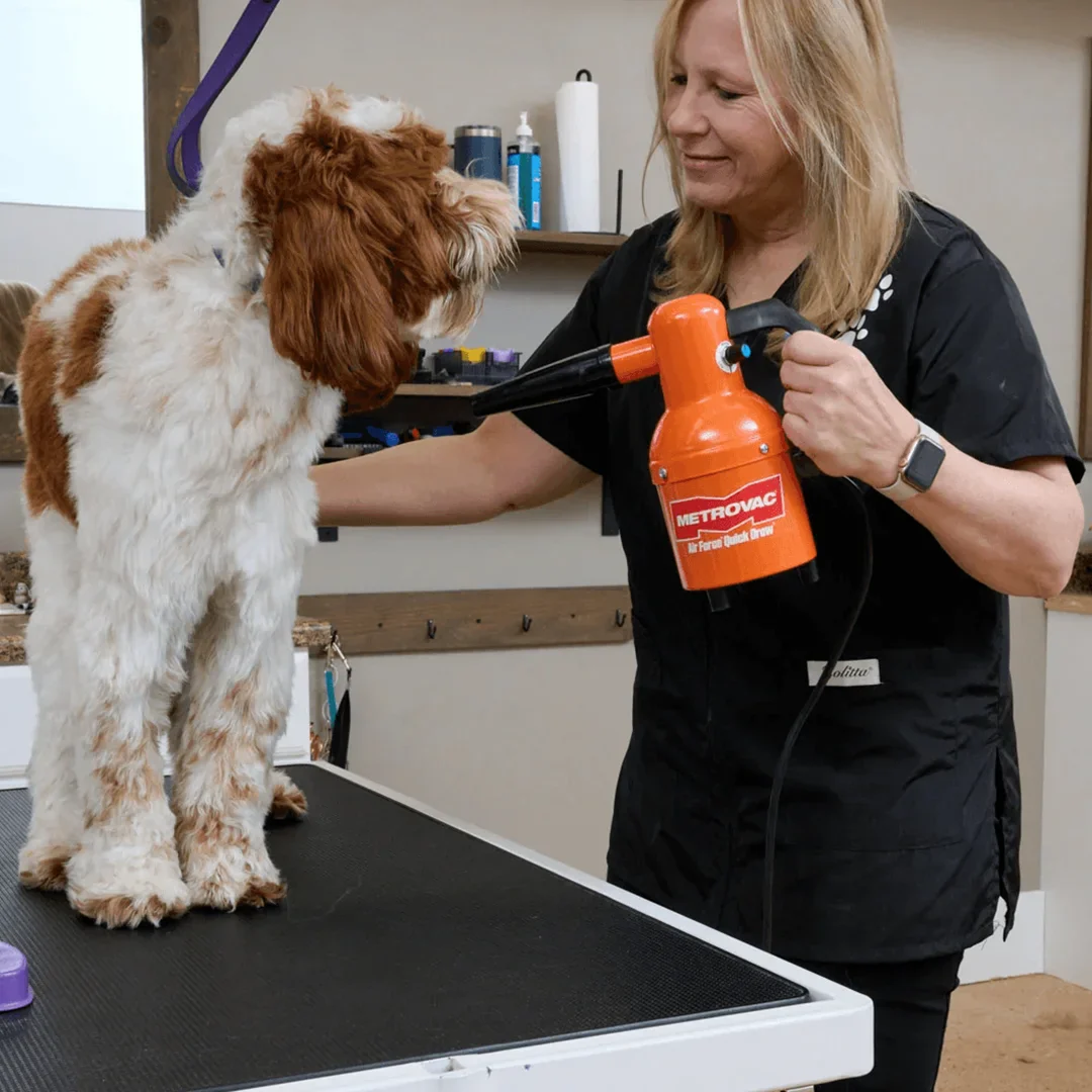 Quick Draw Compact Dog Dryer by Metrovac - Image 3