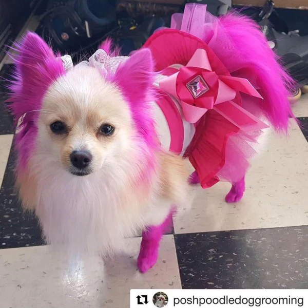 Permanent Dog Hair Dye Adorable Pink 8oz by Opawz - Image 2