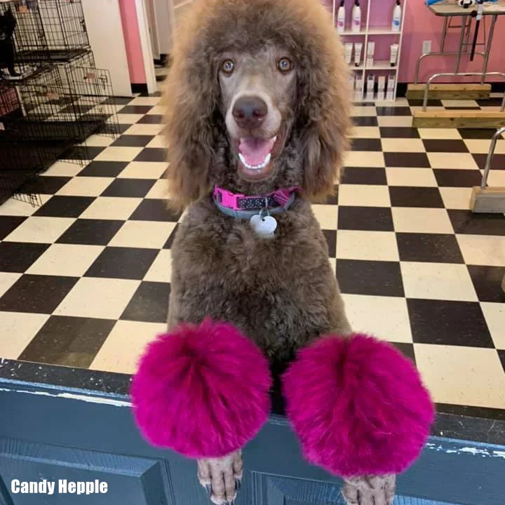 Permanent Dog Hair Dye Adorable Pink 8oz by Opawz - Image 4