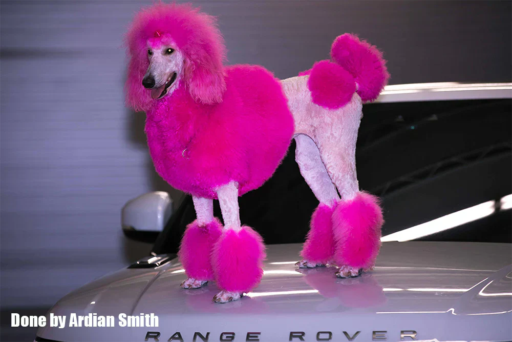 Permanent Dog Hair Dye Adorable Pink 8oz by Opawz - Image 5