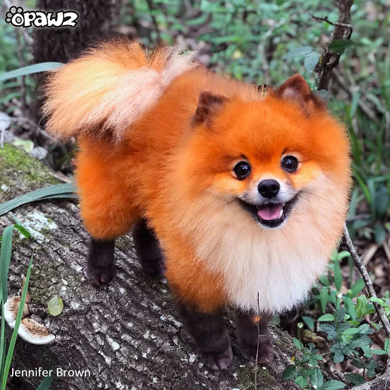 Permanent Dog Hair Dye Ardent Orange 8oz by Opawz - Image 3