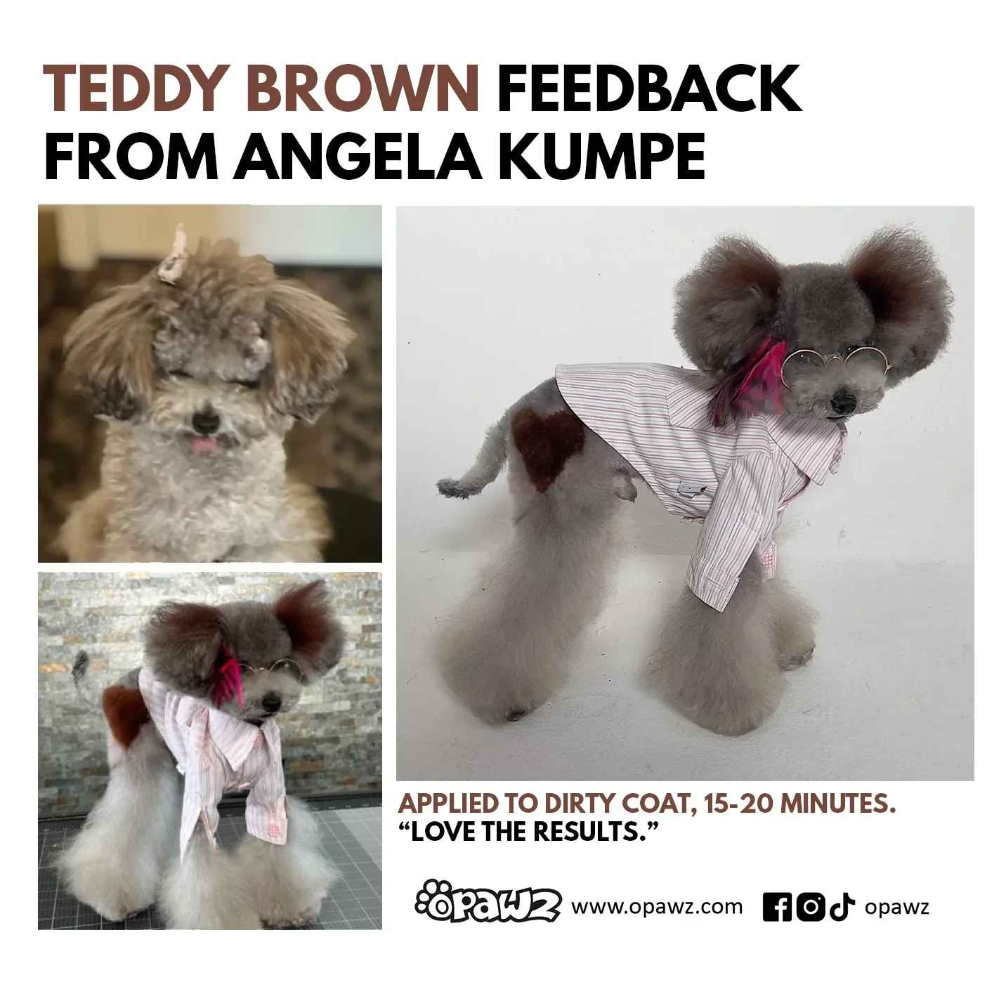 Permanent Dog Hair Dye Set Teddy Brown 2oz by Opawz - Image 3