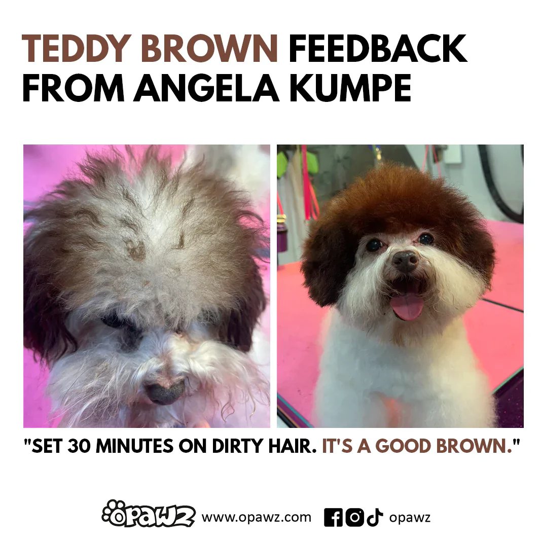 Permanent Dog Hair Dye Set Teddy Brown 2oz by Opawz - Image 4