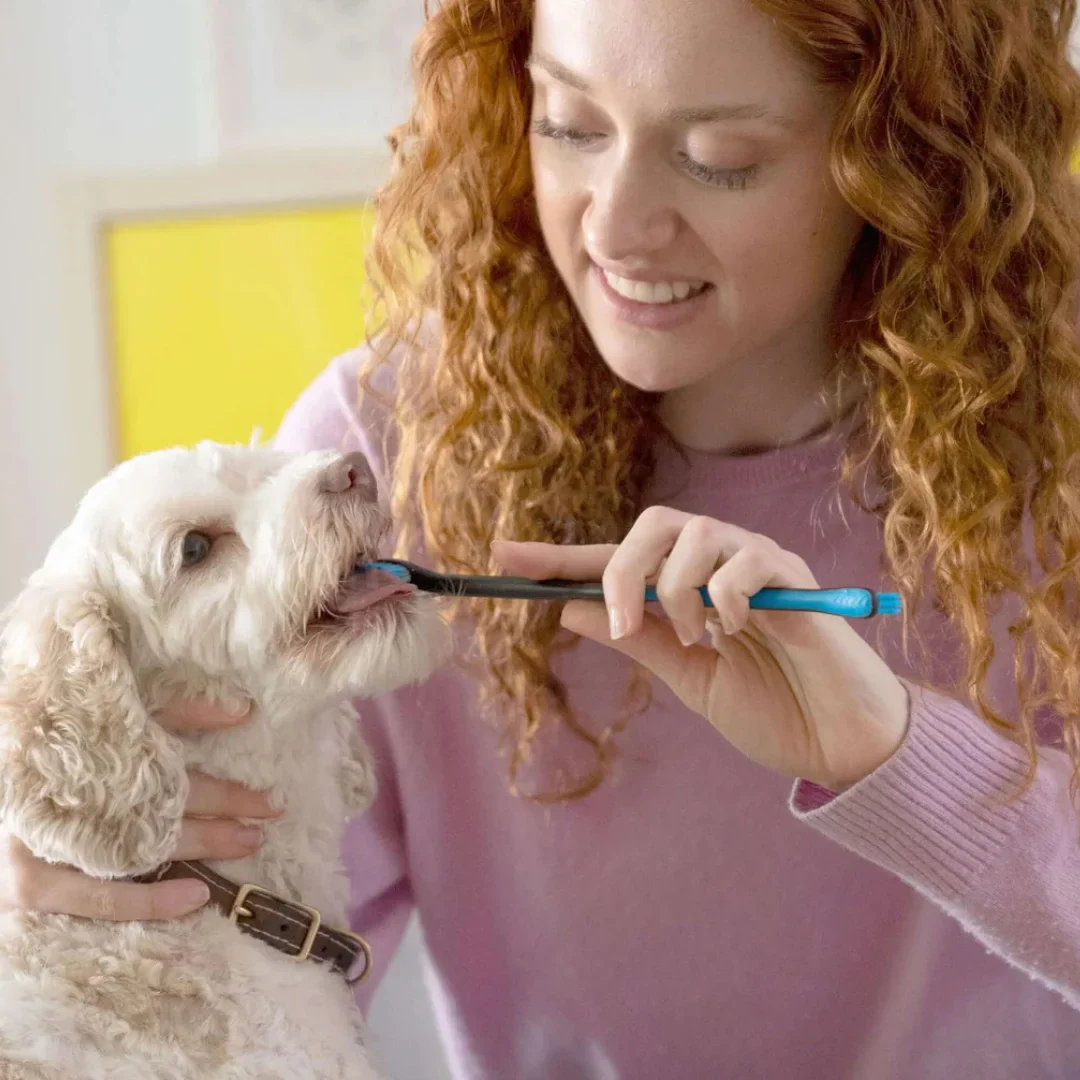 Brushmate Toothpaste Banana Mint 2.5oz by Paw Ready - Image 5