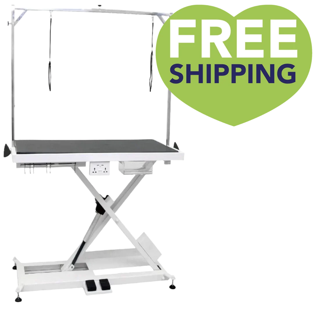 X-Style Electric Lifting Table - 49" Top by PetStore.Direct