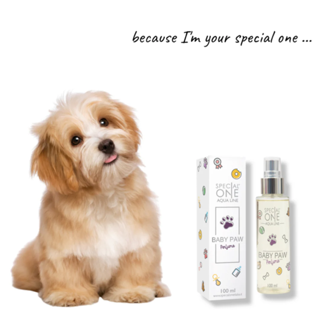 Aqua Baby Paw Perfume 100 ml by Special One - Image 2