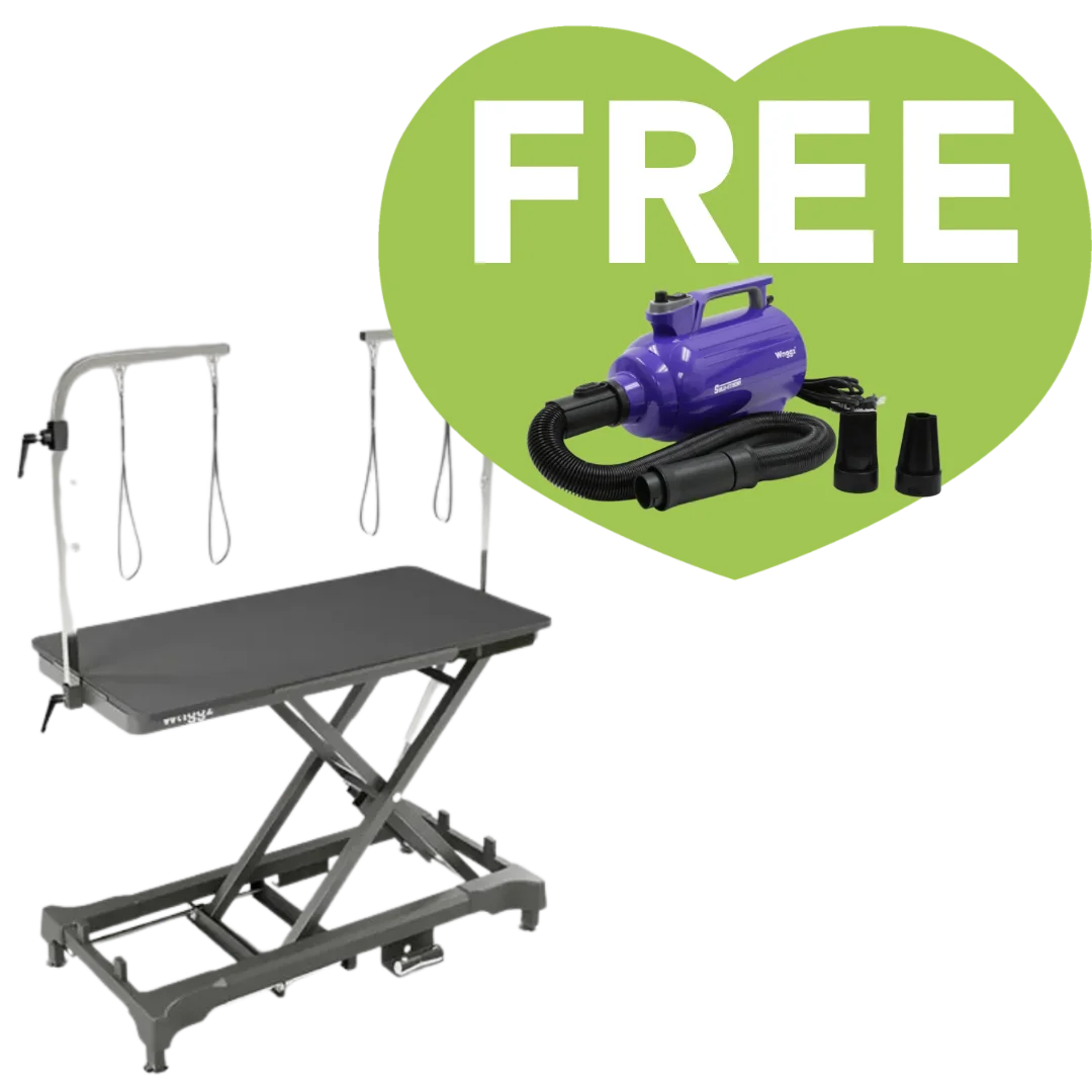 Pre-Order 50" Dog Grooming 908 Electric Table without Drawer Black + Free Solo Stream Dryer by Waggz