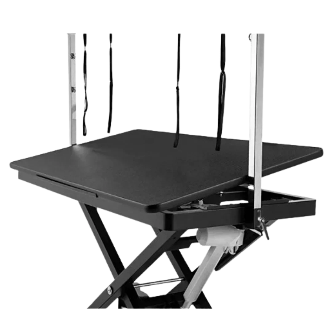 Pre-Order 50" Dog Grooming 908 Electric Table without Drawer Black + Free Solo Stream Dryer by Waggz - Image 3