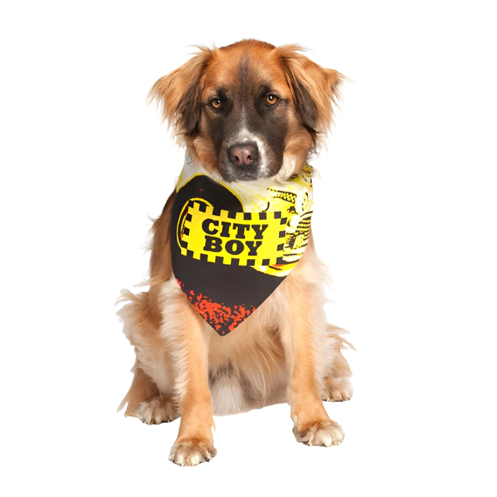 City Boy Dog Bandana by Dog Fashion Living