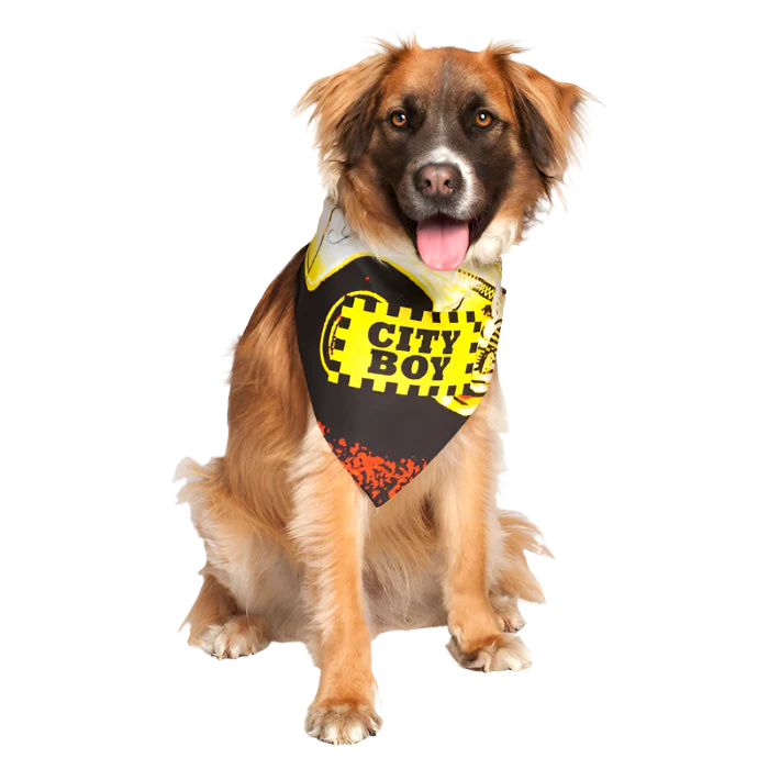 City Boy Dog Bandana by Dog Fashion Living - Image 2