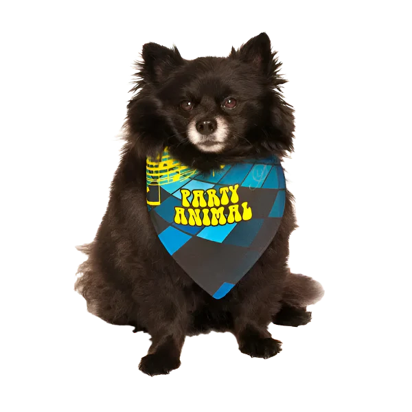 Party Animal Birthday Dog Bandana by Dog Fashion Living