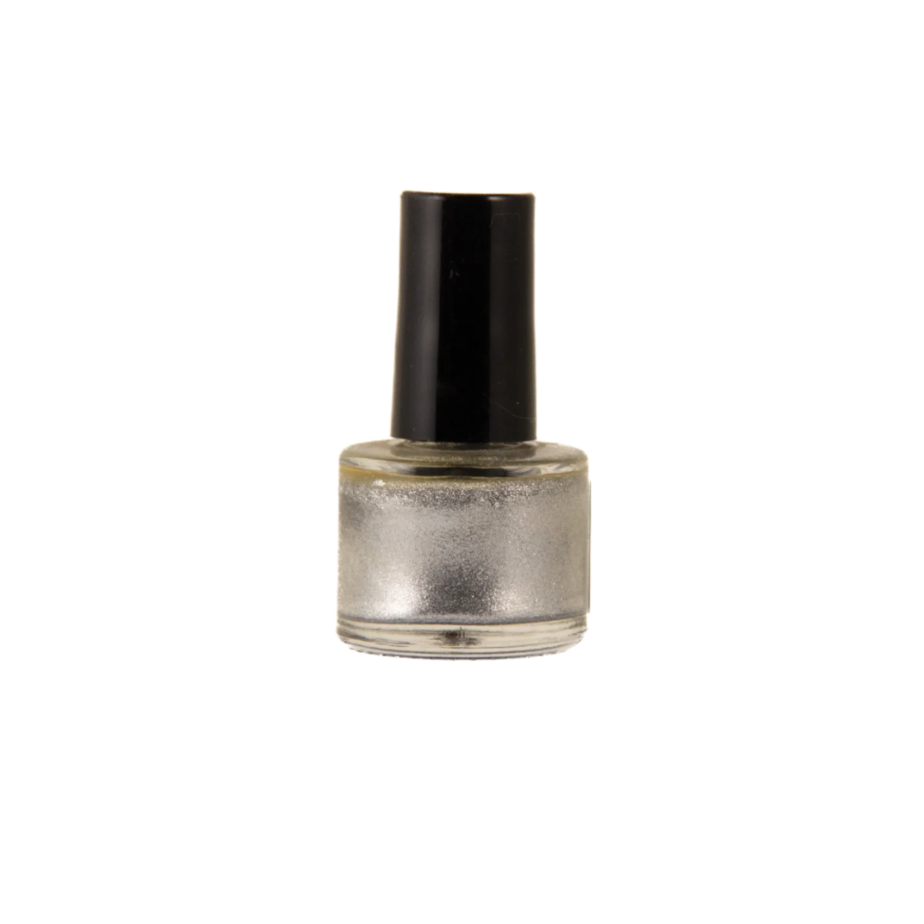 Chic Paw Silver Non-toxic Nail Polish by Dog Fashion Spa - Image 4