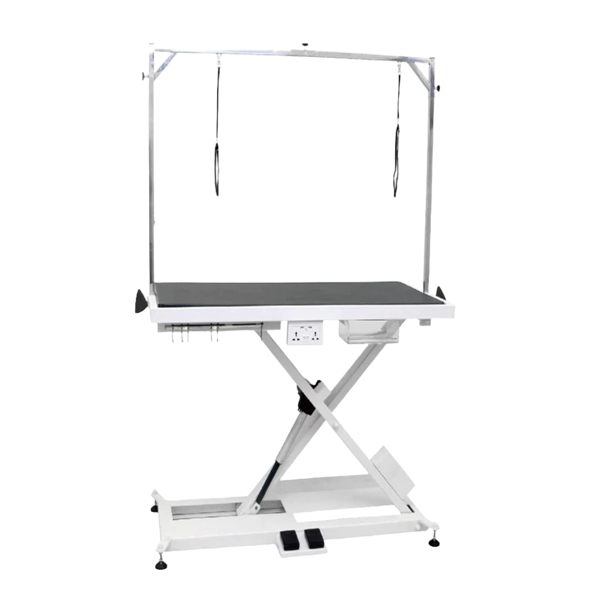 X-Style Electric Lifting Table - 49" Top by PetStore.Direct - Image 2