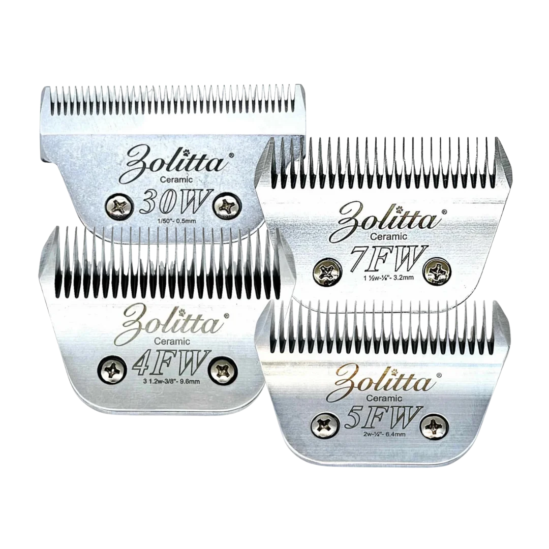Best-Selling Wide Ceramic Blades Set of 4 by Zolitta - Image 2