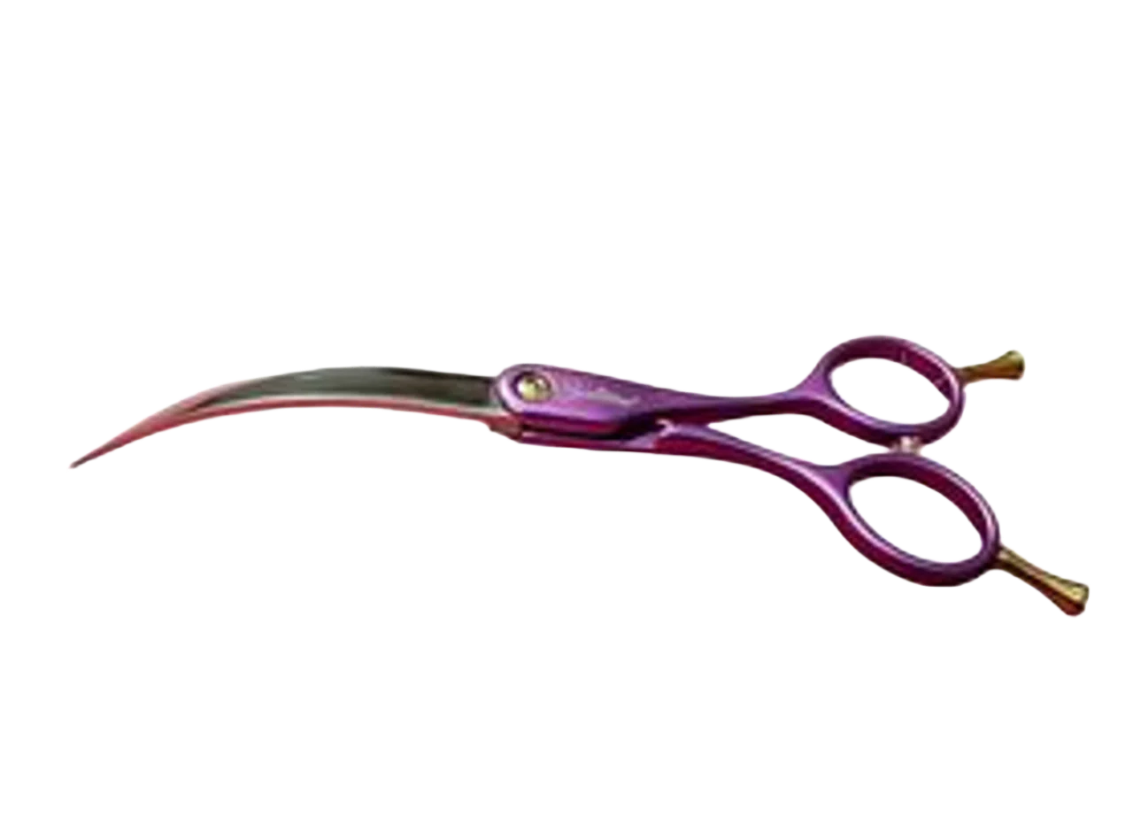 Colibri Super Curved Scissors Amethyst 6.5" by Zolitta